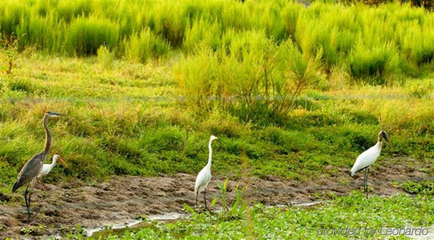 Hampton Inn Okeechobee - Lake Okeechobee Ngoại thất bức ảnh